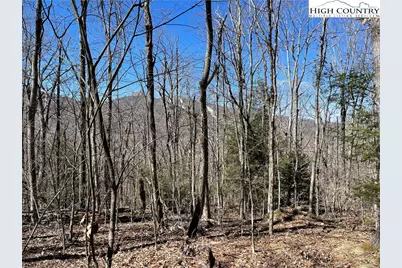 Lot B Tyneridge Drive, Banner Elk, NC 28604 - Photo 5