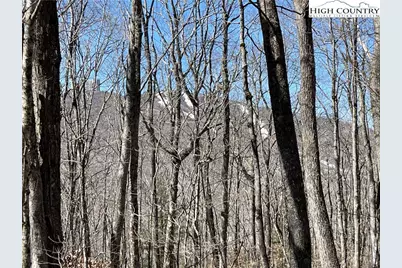 Lot B Tyneridge Drive, Banner Elk, NC 28604 - Photo 3