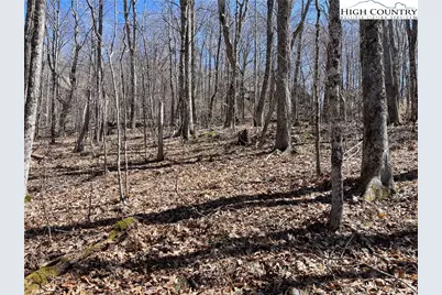 Lot B Tyneridge Drive, Banner Elk, NC 28604 - Photo 9