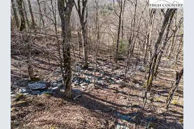 Lot 37 Ski Acres Drive, Blowing Rock, NC 28605 - Photo 7