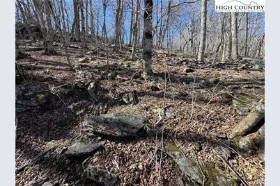 Lot 29 Crown Maple Lane, West Jefferson, NC 28640 - Photo 13