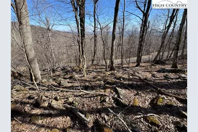 Lot 29 Crown Maple Lane, West Jefferson, NC 28640 - Photo 17