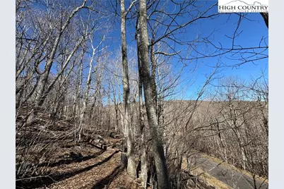 Lot 29 Crown Maple Lane, West Jefferson, NC 28640 - Photo 11