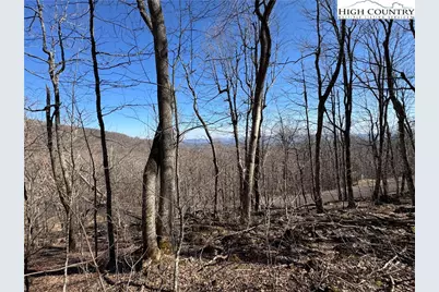 Lot 29 Crown Maple Lane, West Jefferson, NC 28640 - Photo 19