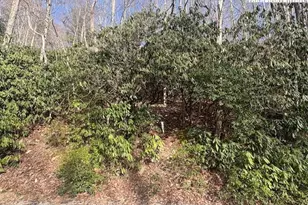 293 Poplar Dr, Beech Mountain, NC 28604 - Photo 1