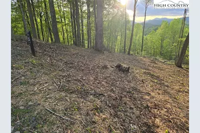 Lot 25 Deer Trail Lane, Elk Park, NC 28622 - Photo 5