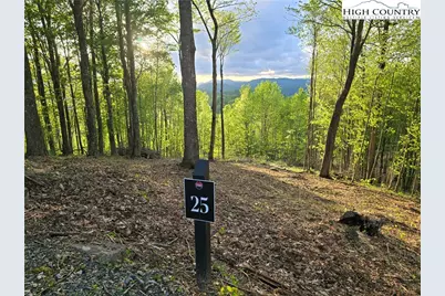 Lot 25 Deer Trail Lane, Elk Park, NC 28622 - Photo 1