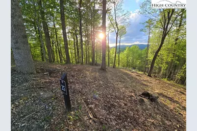 Lot 25 Deer Trail Lane, Elk Park, NC 28622 - Photo 3