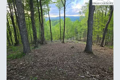 Lot 25 Deer Trail Lane, Elk Park, NC 28622 - Photo 7