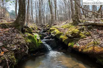 Lot 36 Poplar Forest Drive, Boone, NC 28607 - Photo 3