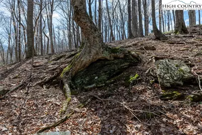 Lot 36 Poplar Forest Drive, Boone, NC 28607 - Photo 15