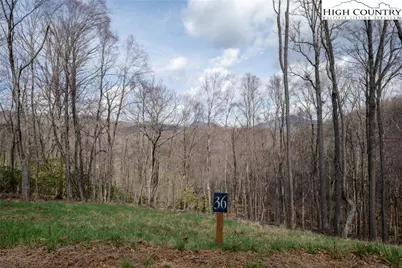Lot 36 Poplar Forest Drive, Boone, NC 28607 - Photo 5
