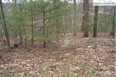 Tbd (Lots 74 & 75) Forest Hill Drive, Sparta, NC 28675 - Photo 9