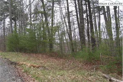 Tbd (Lots 74 & 75) Forest Hill Drive, Sparta, NC 28675 - Photo 5