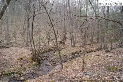 Tbd (Lots 74 & 75) Forest Hill Drive, Sparta, NC 28675 - Photo 15