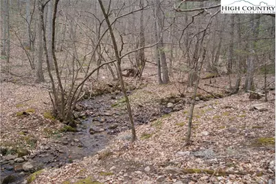 Tbd (Lots 74 & 75) Forest Hill Drive, Sparta, NC 28675 - Photo 7