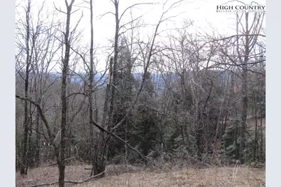 Tbd Greenstreet Dr, Traphill, NC 28685 - Photo 5