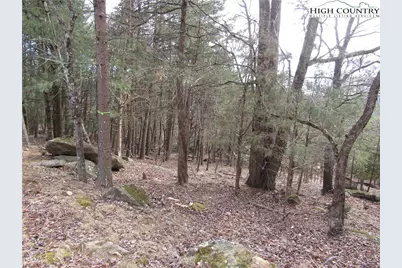 Tbd Greenstreet Dr, Traphill, NC 28685 - Photo 3