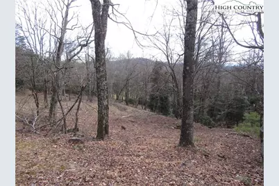 Tbd Greenstreet Dr, Traphill, NC 28685 - Photo 9