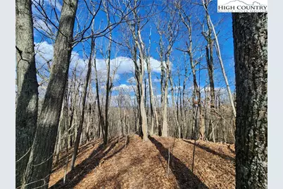 Tbd Spur Cove Lane, Boone, NC 28607 - Photo 1