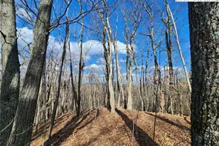 Tbd Spur Cove Ln, Boone, NC 28607 - Photo 1