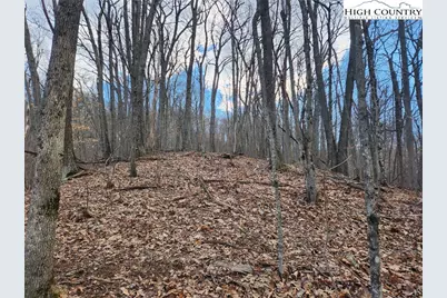 Tbd Spur Cove Lane, Boone, NC 28607 - Photo 31