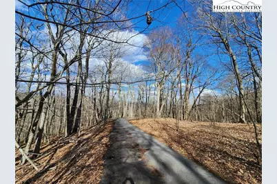 Tbd Spur Cove Lane, Boone, NC 28607 - Photo 33