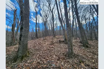 Tbd Spur Cove Lane, Boone, NC 28607 - Photo 29