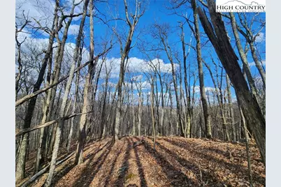 Tbd Spur Cove Lane, Boone, NC 28607 - Photo 21