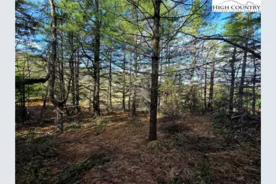 Tbd Foggy Ridge Drive, West Jefferson, NC 28694 - Photo 17