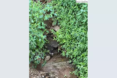 Tbd 321 Highway, Sugar Grove, NC 38679 - Photo 15