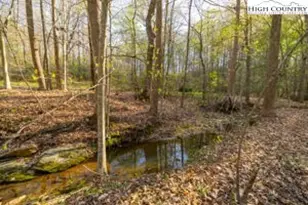 906 Long Hill Rd, Pilot Mountain, NC 27030 - Photo 39