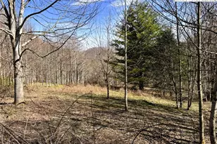 Lot 3 Larkspur Trail, Banner Elk, NC 28604 - Photo 1