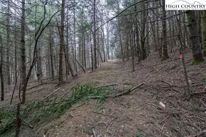 Tbd Winklers Creek, Boone, NC 28607 - Photo 31