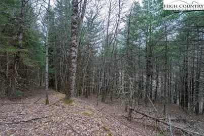 Tbd Winklers Creek, Boone, NC 28607 - Photo 33