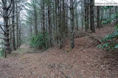 Tbd Winklers Creek, Boone, NC 28607 - Photo 27