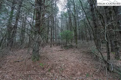 Tbd Winklers Creek, Boone, NC 28607 - Photo 29