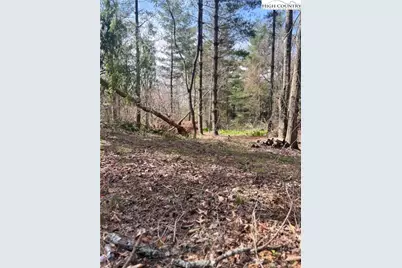 101 Pleasant Home Road, Sparta, NC 28675 - Photo 3