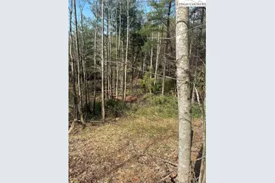 101 Pleasant Home Road, Sparta, NC 28675 - Photo 7