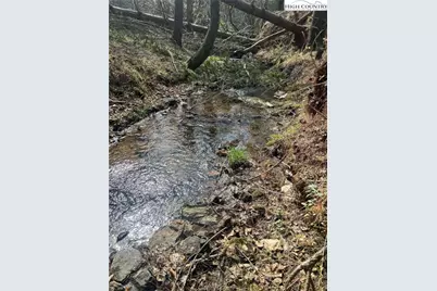 101 Pleasant Home Road, Sparta, NC 28675 - Photo 1