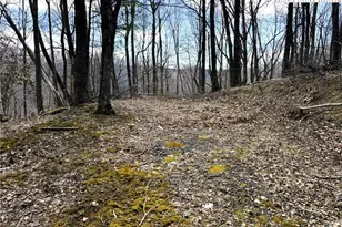 Lot 14 Larkspur Trail, Banner Elk, NC 28604 - Photo 1