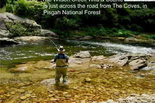 1895 Cypress Trl, Lenoir, NC 28645 - Photo 49