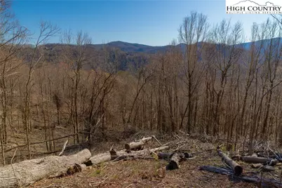 Lot 94 Bear Paw Road, Elk Park, NC 28622 - Photo 9