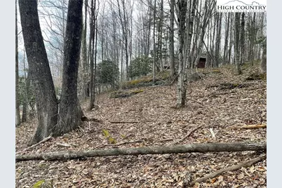 100 Fireweed Lane, Beech Mountain, NC 28604 - Photo 5