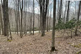 100 Fire Weed Ln, Beech Mountain, NC 28604 - Photo 1