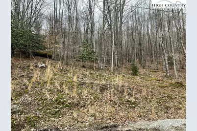 100 Fireweed Lane, Beech Mountain, NC 28604 - Photo 7