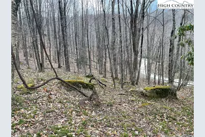 100 Fireweed Lane, Beech Mountain, NC 28604 - Photo 3