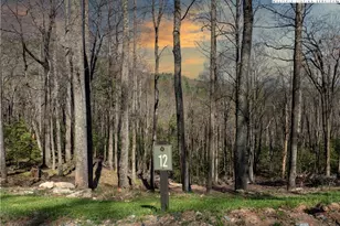 Lot 12 Wildcat Wilderness Pkwy, Deep Gap, NC 28618 - Photo 1