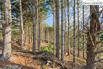 Tbd Wildcat Road, Deep Gap, NC 28618 - Photo 11