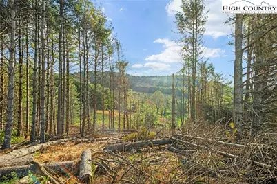 Tbd Wildcat Road, Deep Gap, NC 28618 - Photo 3
